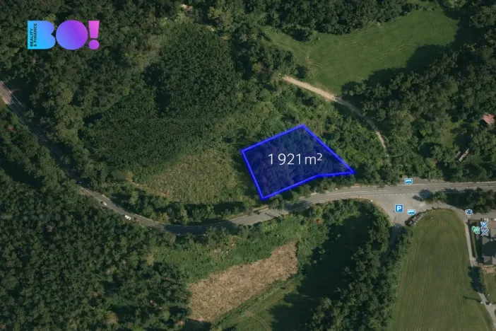 Prodej lesa, Jasenná, 58310 m2