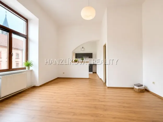 Pronájem bytu 1+1, České Budějovice - České Budějovice 6, Žižkova tř., 47 m2