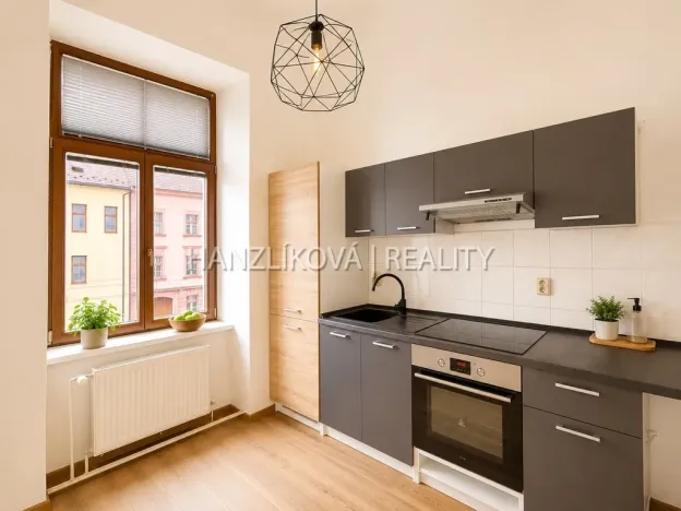 Pronájem bytu 1+1, České Budějovice - České Budějovice 6, Žižkova tř., 47 m2
