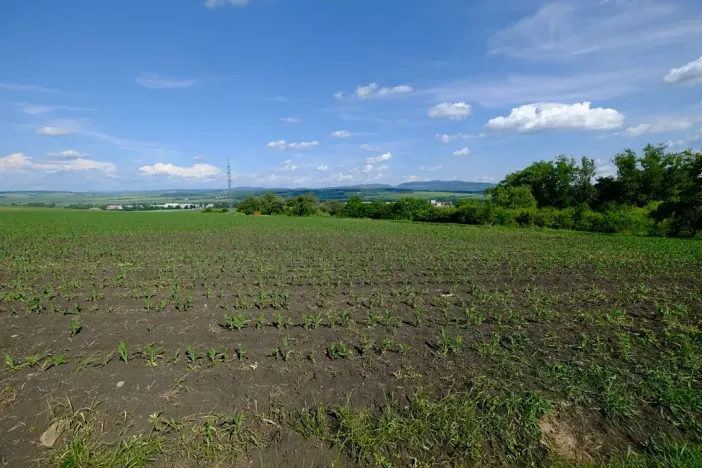 Prodej zahrady, Uherský Brod, 2032 m2