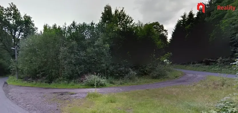 Prodej podílu lesa, Zlatá Olešnice, 574 m2