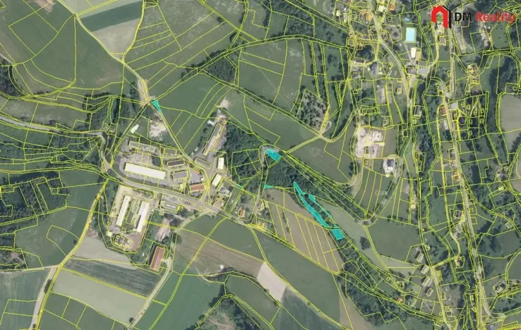 Prodej podílu lesa, Zlatá Olešnice, 574 m2