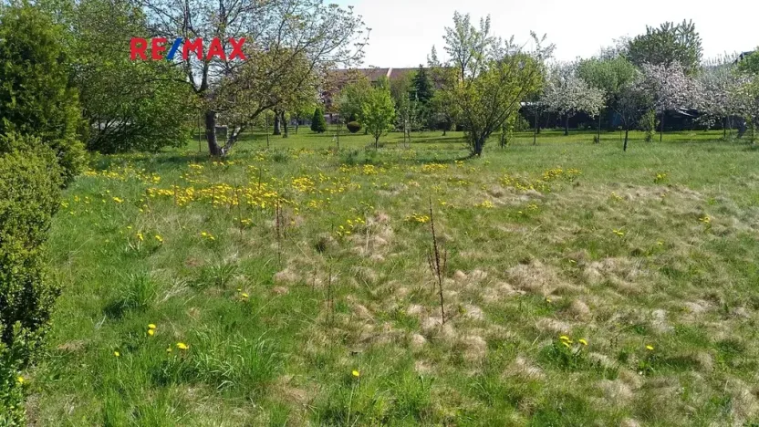 Prodej pozemku pro bydlení, Mikulovice, 1350 m2