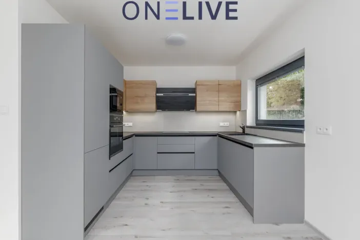 Pronájem rodinného domu, Plzeň, Na Plzeňce, 125 m2