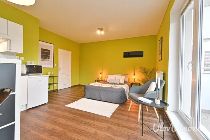 Pronájem bytu 1+kk, Praha - Záběhlice, Mikanova, 33 m2