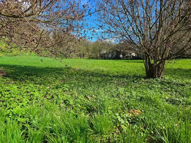 Prodej rodinného domu, Borušov, 236 m2