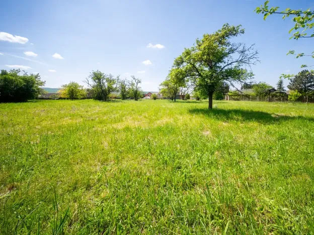 Prodej pozemku pro bydlení, Bučovice, 3623 m2