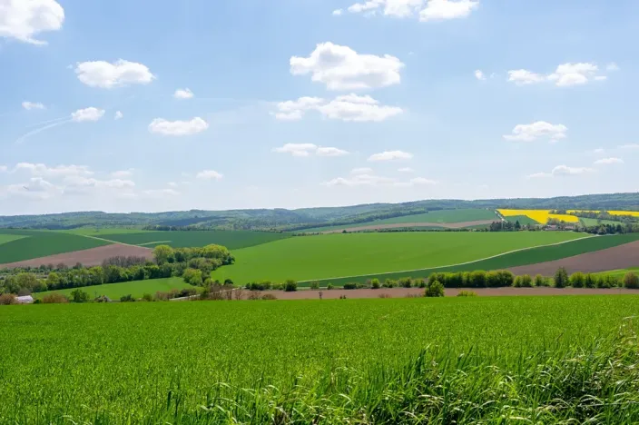 Prodej pozemku pro bydlení, Bučovice, Náhorní, 7851 m2