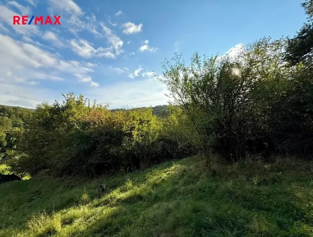 Prodej zahrady, Bílovice nad Svitavou, 589 m2