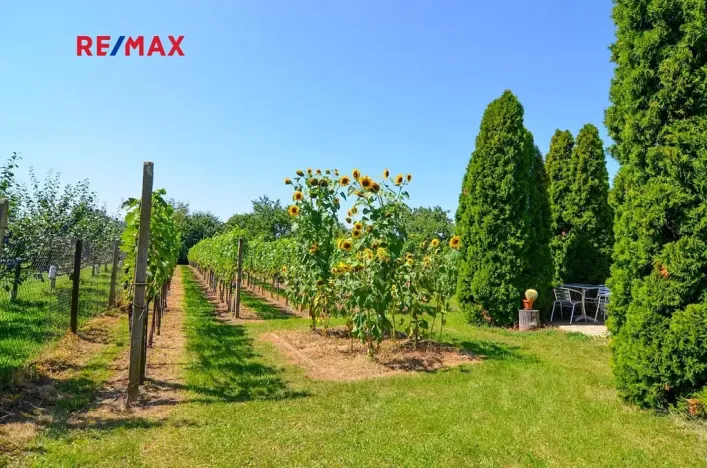 Prodej zahrady, Mikulov, 997 m2