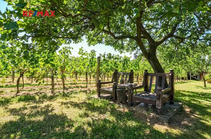 Prodej zahrady, Mikulov, 997 m2