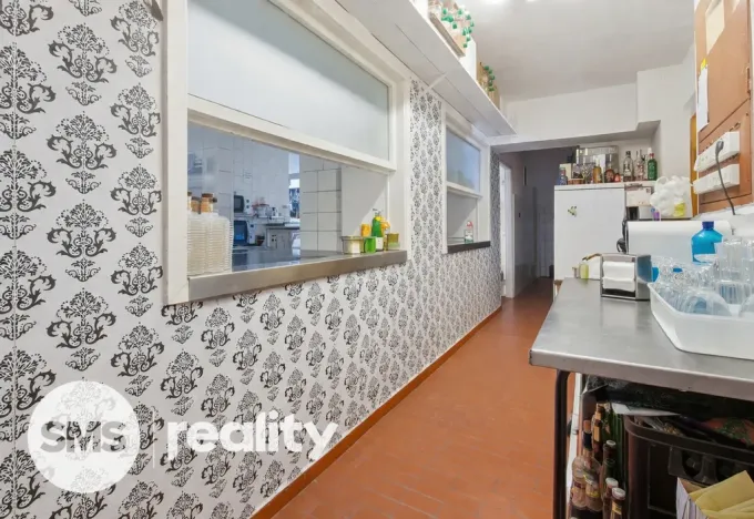 Prodej komerční nemovitosti, Březí, Dunajovická, 476 m2