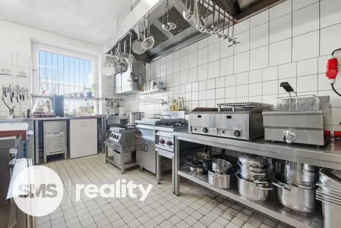 Prodej komerční nemovitosti, Březí, Dunajovická, 476 m2