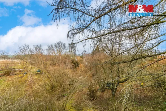 Prodej rodinného domu, Úlice - Jezná, 170 m2