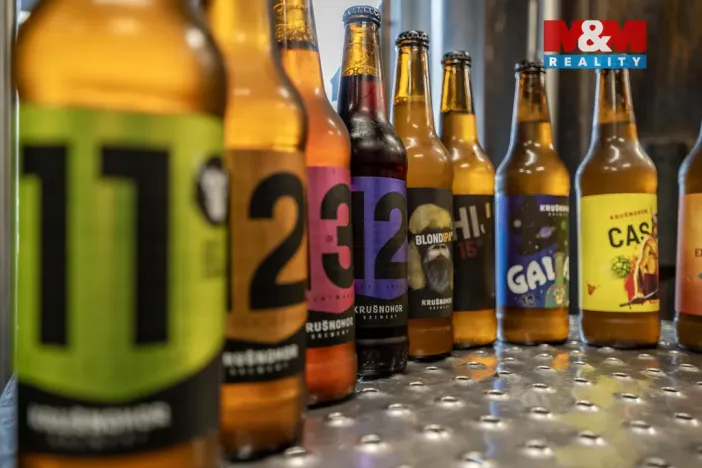 Prodej obchodního prostoru, Kraslice - Tisová, 560 m2