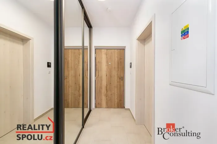 Prodej bytu 1+kk, Plzeň - Jižní Předměstí, Železná, 40 m2