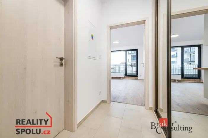 Prodej bytu 1+kk, Plzeň - Jižní Předměstí, Železná, 40 m2