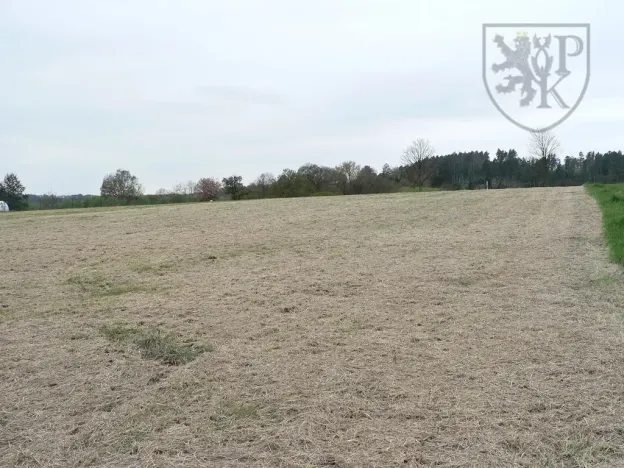 Prodej pozemku pro bydlení, Květov, 8455 m2