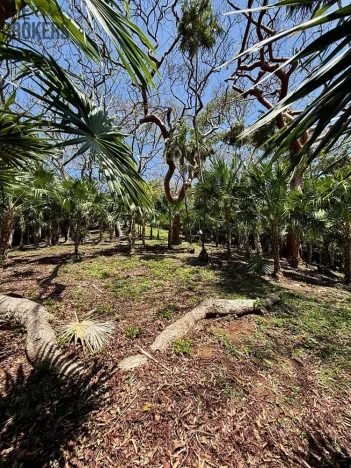 Prodej pozemku, Coxen Hole, Roatán, Honduras, 1902 m2