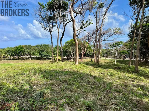 Prodej pozemku, Coxen Hole, Roatán, Honduras, 847 m2