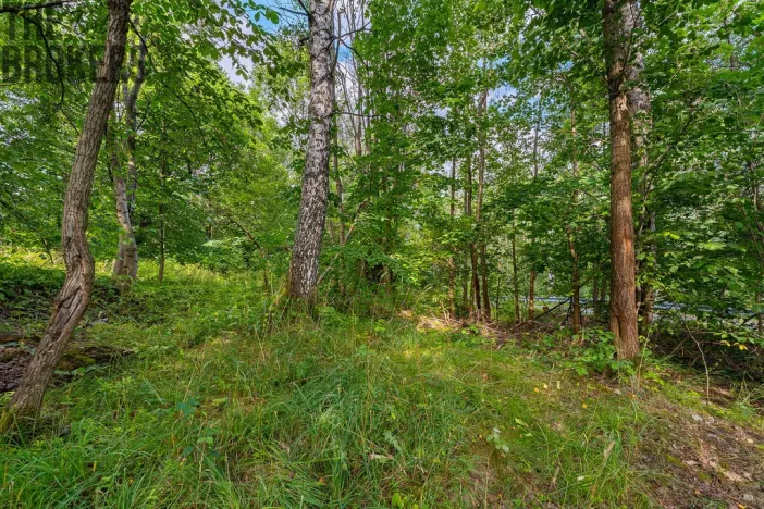 Prodej pozemku, Vrchlabí, 7977 m2