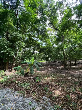 Prodej pozemku, Coxen Hole, Roatán, Honduras, 2090 m2