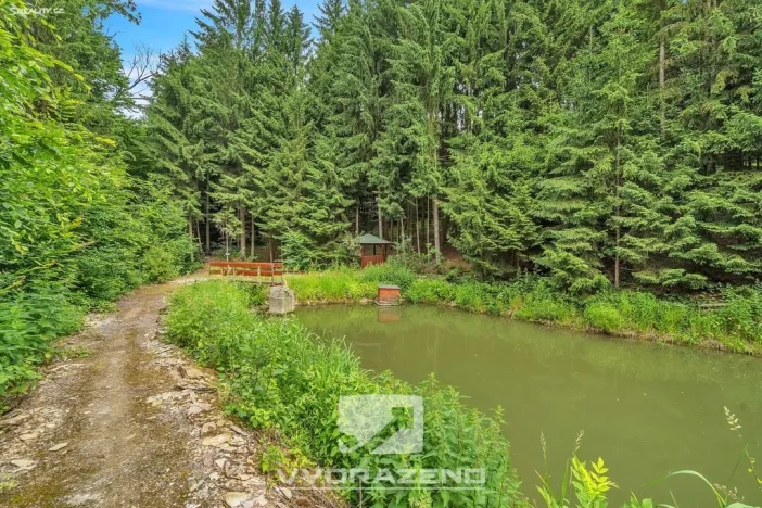 Prodej rybníku, Sudslava, 15149 m2