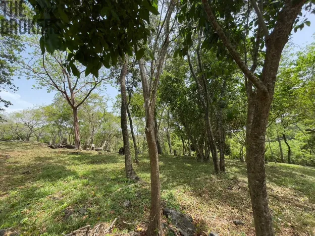 Prodej pozemku, Coxen Hole, Roatán, Honduras, 2400 m2
