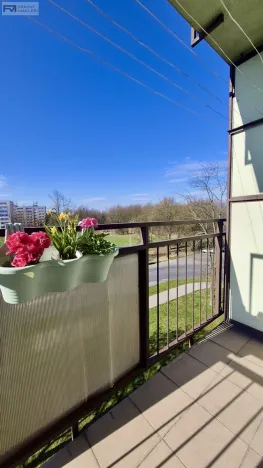 Pronájem bytu 2+kk, Ostrava, Polská, 45 m2