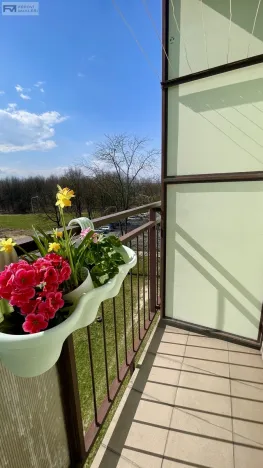 Pronájem bytu 2+kk, Ostrava, Polská, 45 m2