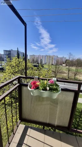 Pronájem bytu 2+kk, Ostrava, Polská, 45 m2