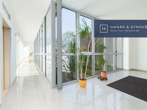 Pronájem bytu 2+1, Brno, Anenská, 49 m2