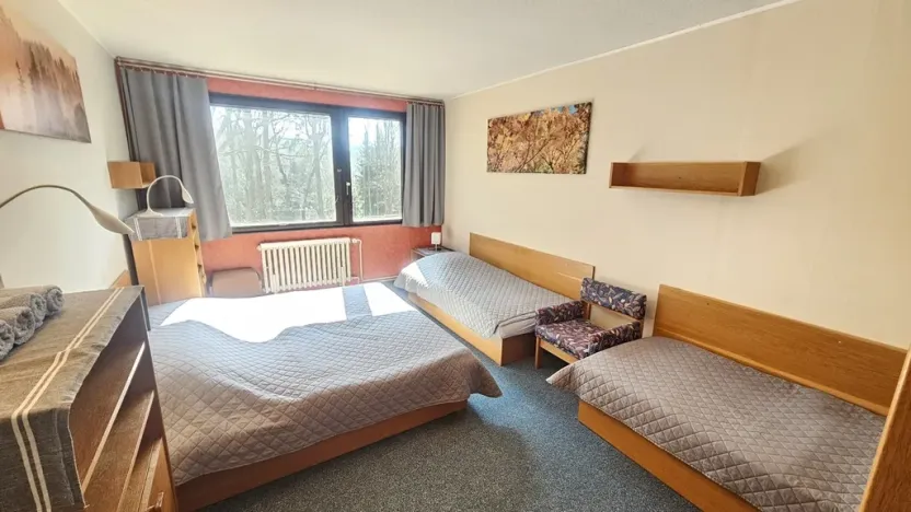 Prodej rodinného domu, Janov nad Nisou, 635 m2