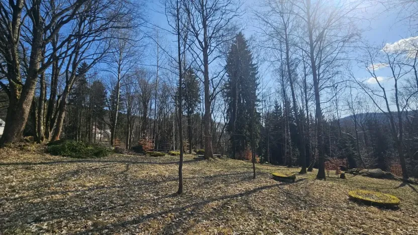 Prodej rodinného domu, Janov nad Nisou, 635 m2