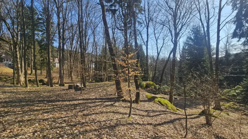 Prodej pozemku pro bydlení, Janov nad Nisou, 11396 m2