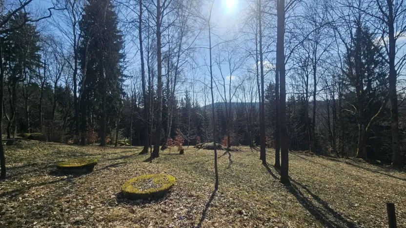 Prodej pozemku pro bydlení, Janov nad Nisou, 11396 m2