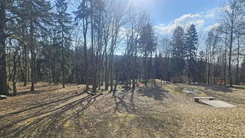 Prodej rodinného domu, Janov nad Nisou, 1047 m2