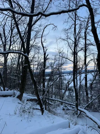 Prodej lesa, Dolní Bousov, 59634 m2