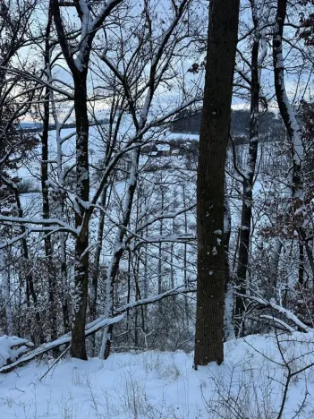 Prodej lesa, Dolní Bousov, 59634 m2