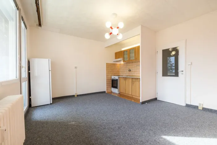 Pronájem bytu 1+kk, Plzeň - Severní Předměstí, Sokolovská, 27 m2