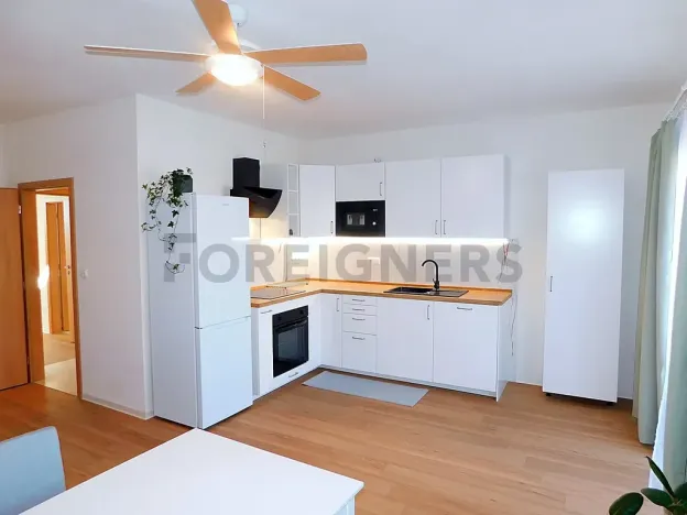 Pronájem bytu 2+kk, Plzeň, Hřímalého, 75 m2