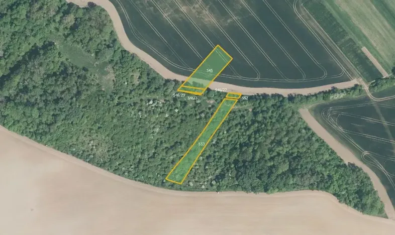 Prodej pole, Hoštice, 17754 m2