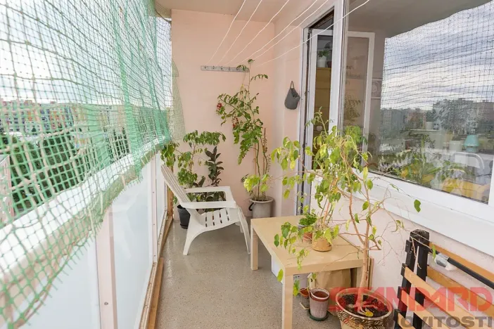 Pronájem bytu 1+kk, Plzeň, Tachovská, 34 m2