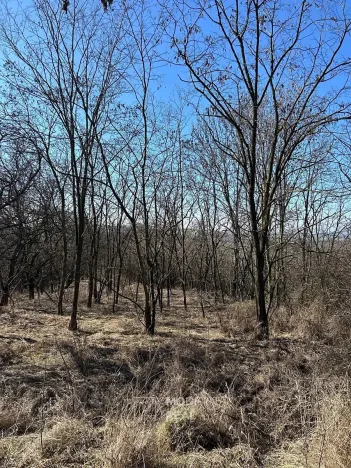 Prodej zahrady, Hustopeče, 4050 m2