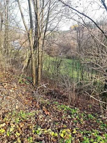 Prodej louky, Vilémov, 7357 m2