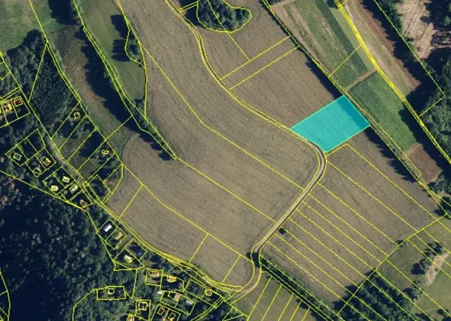 Prodej pole, Lipová, 3869 m2