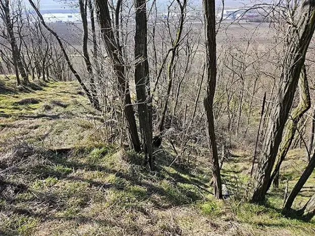 Prodej sadu/vinice, Velké Němčice, 3259 m2