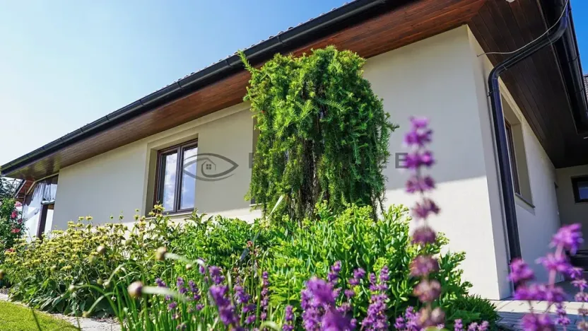 Prodej rodinného domu, Borovany, 237 m2