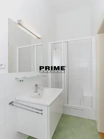 Pronájem bytu 4+1, Praha - Vinohrady, Anny Letenské, 160 m2