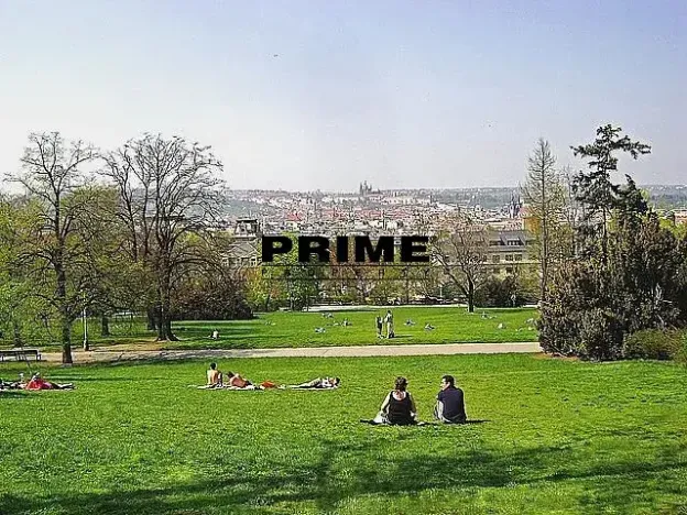 Pronájem bytu 4+1, Praha - Vinohrady, Anny Letenské, 160 m2